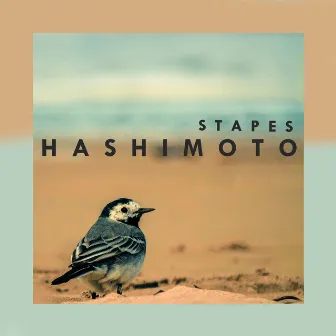 Hashimoto by Stapes