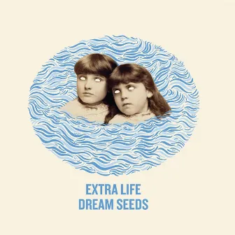 Dream Seeds by Unknown Artist