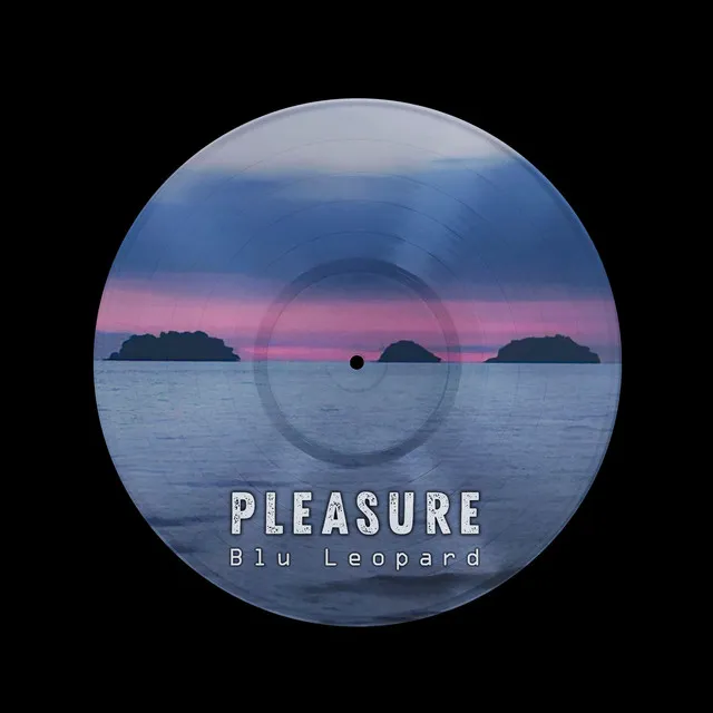 Pleasure - Radio Edit