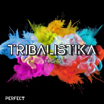 Tribalistika (Dj Global Byte Mix) by H.S.D.