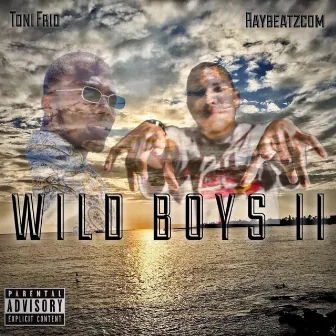 Wild Boyz 2 by Toni Frio