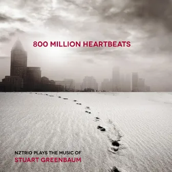 800 Million Heartbeats by Stuart Greenbaum