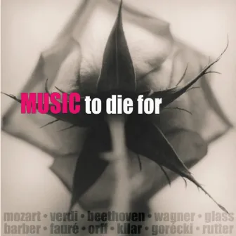 Music To Die For by Takuo Yuasa