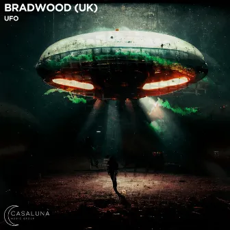 UFO by Brad Wood (UK)