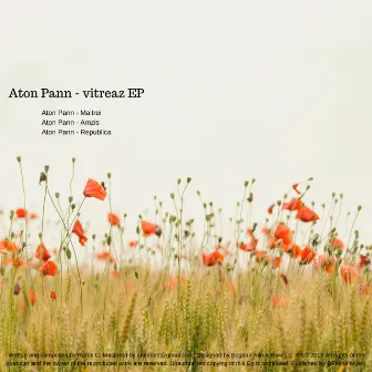 Vitreaz EP by Aton Pann