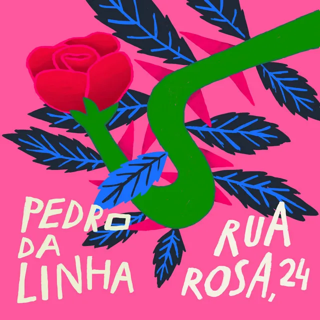 Rua Rosa, 24