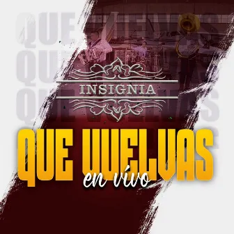 Que Vuelvas (En Vivo) by GRUPO INSIGNIA