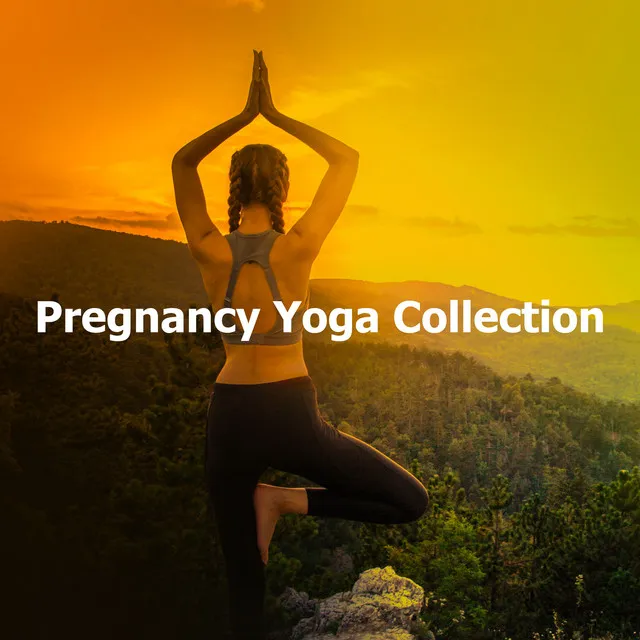 Pregnancy Yoga Collection