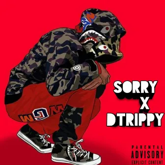 Sorry by Dtrippy