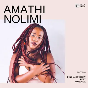 Amathi Nolimi by Dino and Terry