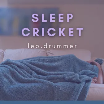 Sleep Cricket by leo.drummer