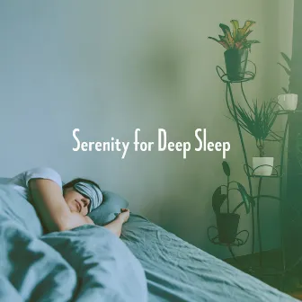 Serenity for Deep Sleep by Unknown Artist