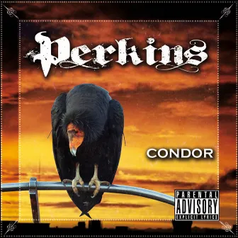 Condor by Perkins