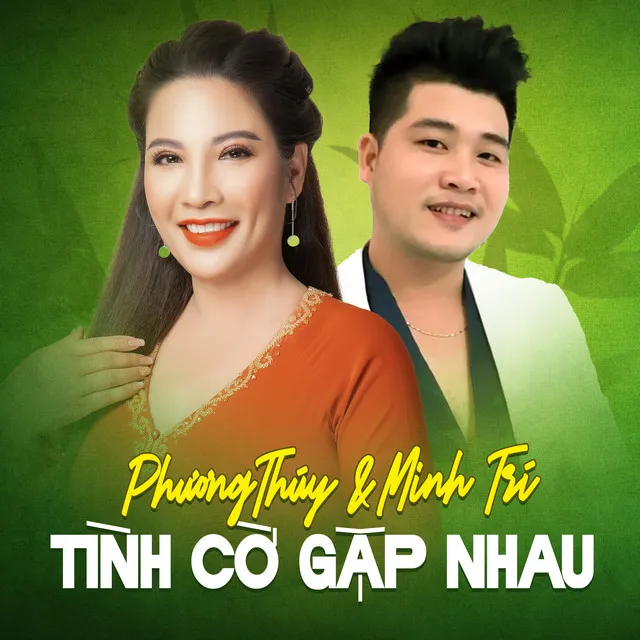 Tình Cờ Gặp Nhau