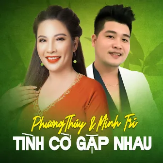 Tình Cờ Gặp Nhau by Minh Trí