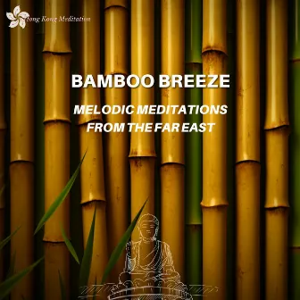 Bamboo Breeze: Melodic Meditations from the Far East by Heart Of The Dragon Ensemble