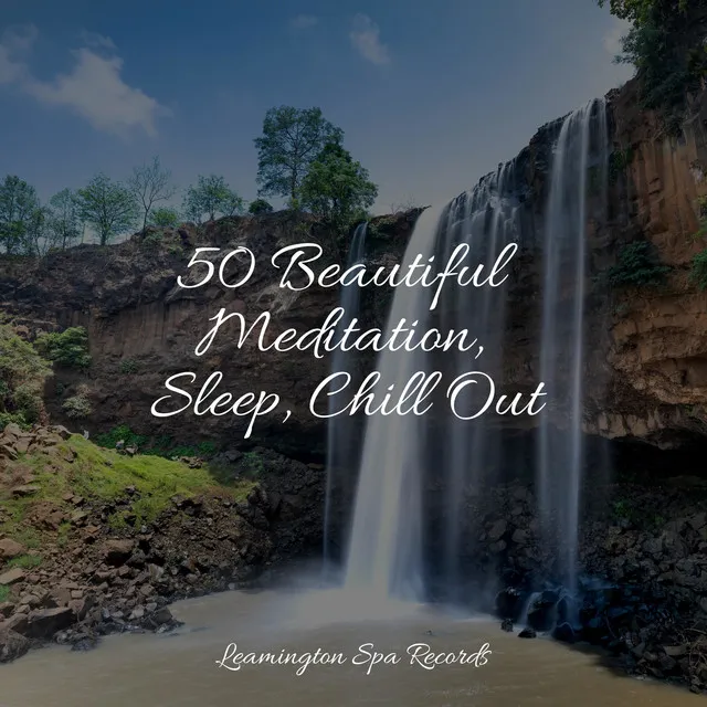 50 Beautiful Meditation, Sleep, Chill Out