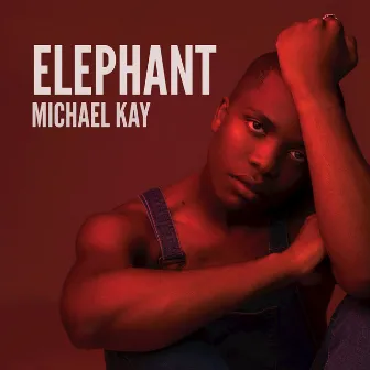 Elephant by Michael Kay