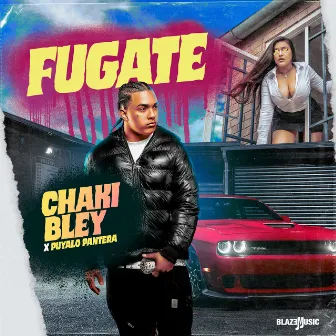 Fugate by Puyalo Pantera