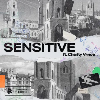 SENSITIVE by Charity Vance