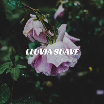 Lluvia suave by Señora Trueno