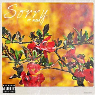 Sorry by Eli Lou