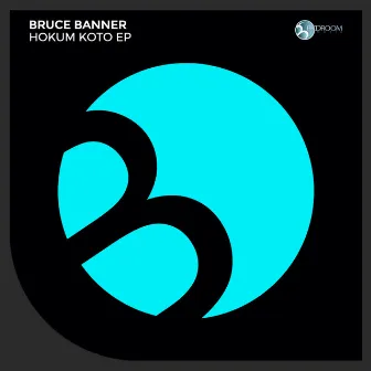 Hokum Koto by Bruce Banner