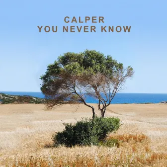 You Never Know (Simon Field Remix) by Calper