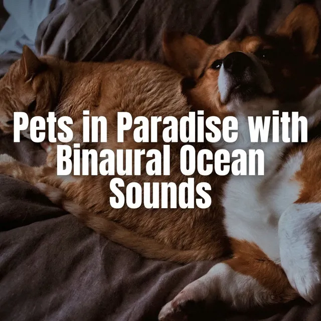 Pets in Paradise with Binaural Ocean Sounds