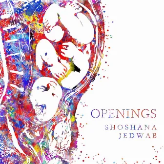 Openings by Shoshana Jedwab