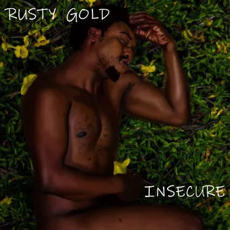 Insecure by Rusty Gold