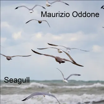 Seagull by Maurizio Oddone