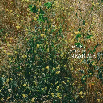 Near Me by Daniel Wilson