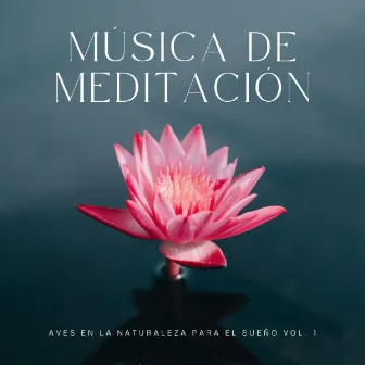 Música De Meditación: Aves En La Naturaleza Para El Sueño Vol. 1 by Descansa