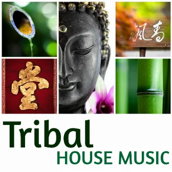 Tribal House Music - World Dance Shamanic Tropical Music Hits & Drum Sounds by Unknown Artist