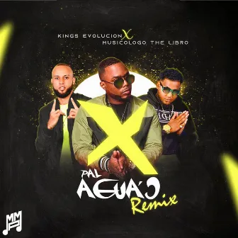 X Pal Aguao (Remix) by Kings Evolucion