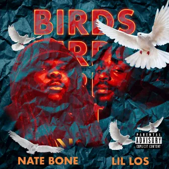 BIRDS by Lil Los