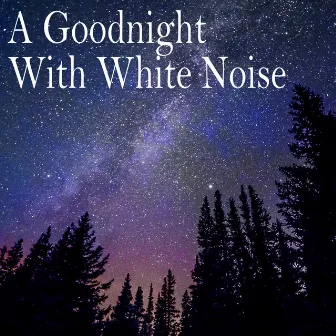 A Goodnight With White Noise by Buddhist Enlightenments