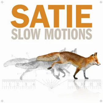 Satie Slow Motions by Axel Gillison