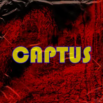 Captus by DJ Lancinhouse