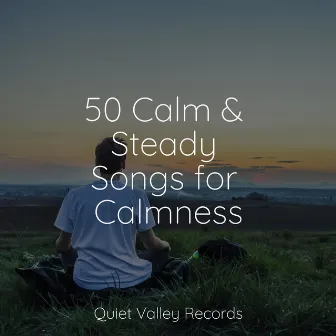 50 Calm & Steady Songs for Calmness by Saludo al Sol Sonido Relajante