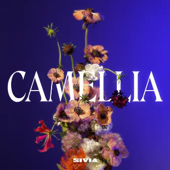 Camellia by SIVIA