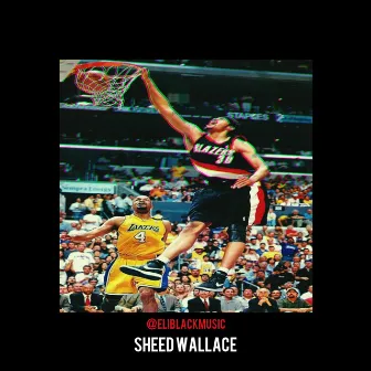 Sheed Wallace by Eli Black