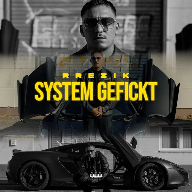 System Gefickt