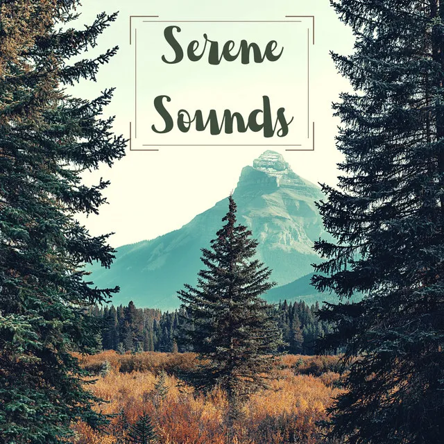 Serene Sounds: A Collection of The Best Calming Melodies for your Inner Peace