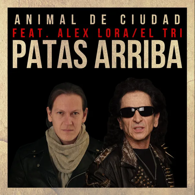 Patas Arriba