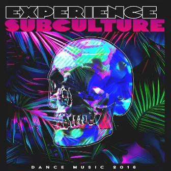 Experience Subculture by Dance Music 2016