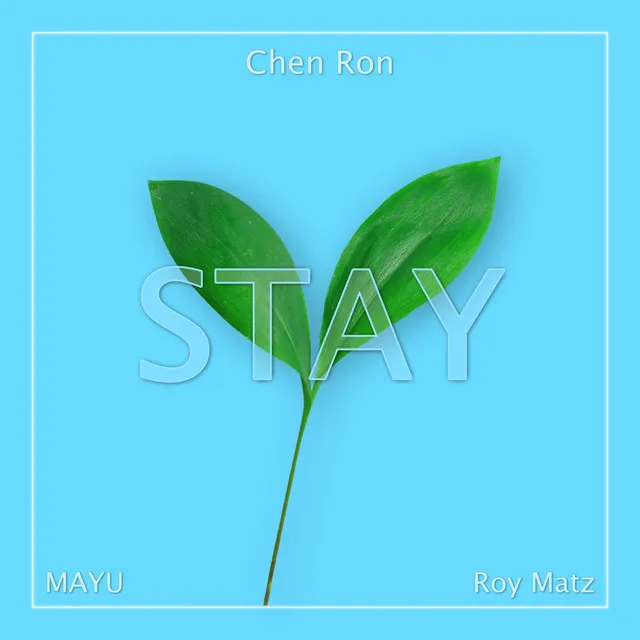 Stay