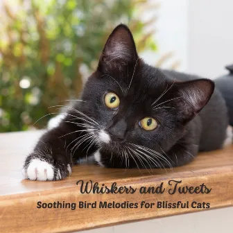 Whiskers and Tweets: Soothing Bird Melodies for Blissful Cats by Cat Music Studio