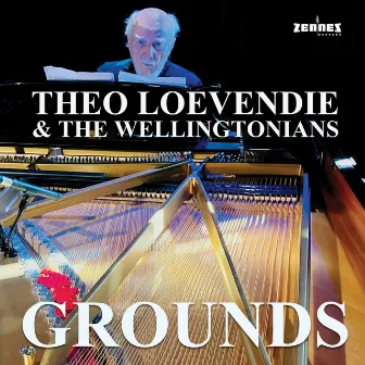 Grounds (The Wellingtonians) by Theo Loevendie